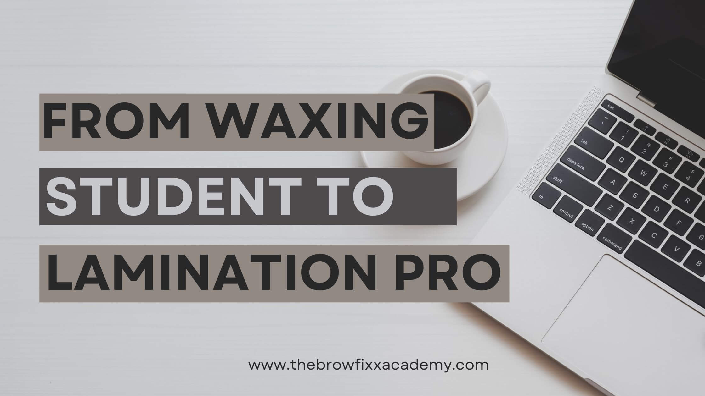 frow brow waxing to lamination pro